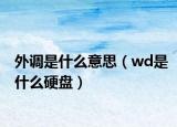 外调是什么意思（wd是什么硬盘）