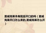 夏威夷果本身就是开口的吗（夏威夷果开口怎么来的,夏威夷果怎么开）