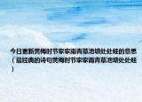 今日更新黄梅时节家家雨青草池塘处处蛙的意思（最经典的诗句黄梅时节家家雨青草池塘处处蛙）