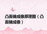 凸面镜成像原理图（凸面镜成像）