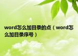 word怎么加目录的点（word怎么加目录序号）