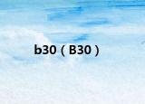 b30（B30）