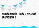 死心塌地夹道子视频（死心塌地 夹子道歌曲）