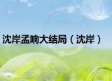 沈岸孟响大结局（沈岸）