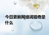 今日更新网络词猎奇是什么