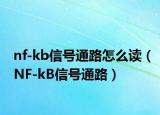 nf-kb信号通路怎么读（NF-kB信号通路）
