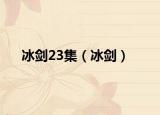 冰剑23集（冰剑）