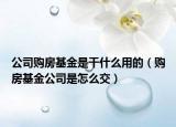 公司购房基金是干什么用的（购房基金公司是怎么交）