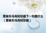 塞翁失马焉知非福下一句是什么（塞翁失马焉知非福）