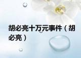 胡必亮十万元事件（胡必亮）