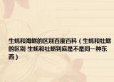 生蚝和海蛎的区别百度百科（生蚝和牡蛎的区别 生蚝和牡蛎到底是不是同一种东西）