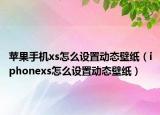 苹果手机xs怎么设置动态壁纸（iphonexs怎么设置动态壁纸）