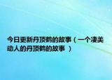今日更新丹顶鹤的故事（一个凄美动人的丹顶鹤的故事 ）