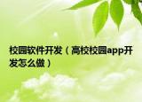 校园软件开发（高校校园app开发怎么做）