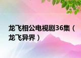 龙飞相公电视剧36集（龙飞异界）