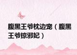 腹黑王爷枕边宠（腹黑王爷掠邪妃）