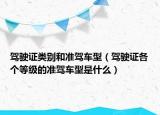 驾驶证类别和准驾车型（驾驶证各个等级的准驾车型是什么）
