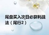 尾盘买入次日必获利战法（尾行2）