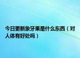 今日更新象牙果是什么东西（对人体有好处吗）