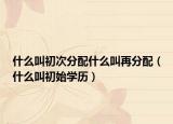 什么叫初次分配什么叫再分配（什么叫初始学历）