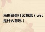 乌斯藏是什么意思（wsc是什么意思）