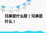 兄弟是什么歌（兄弟是什么）