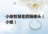 小维智慧家庭摄像头（小维）