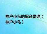 神户小鸟的配音是谁（神户小鸟）