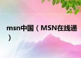 msn中国（MSN在线通）