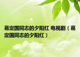 葛定国同志的夕阳红 电视剧（葛定国同志的夕阳红）