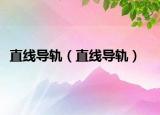 直线导轨（直线导轨）