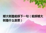 撼大树是蚍蜉下一句（蚍蜉撼大树是什么意思）