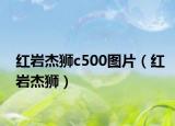 红岩杰狮c500图片（红岩杰狮）