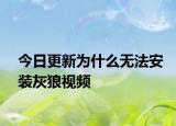 今日更新为什么无法安装灰狼视频
