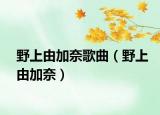 野上由加奈歌曲（野上由加奈）