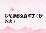 沙陀忠怎么变坏了（沙陀忠）