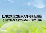抵押权未设立担保人如何承担责任（房产抵押无效担保人还有责任吗）