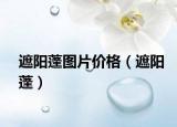 遮阳蓬图片价格（遮阳蓬）