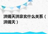 洪锡天洪宗玄什么关系（洪锡天）