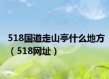 518国道走山亭什么地方（518网址）