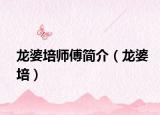 龙婆培师傅简介（龙婆培）