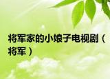 将军家的小娘子电视剧（将军）