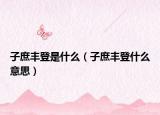 子庶丰登是什么（子庶丰登什么意思）
