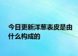 今日更新洋葱表皮是由什么构成的