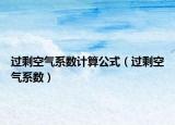 过剩空气系数计算公式（过剩空气系数）