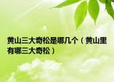 黄山三大奇松是哪几个（黄山里有哪三大奇松）