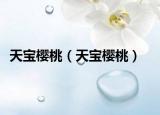天宝樱桃（天宝樱桃）