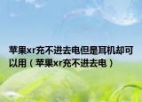 苹果xr充不进去电但是耳机却可以用（苹果xr充不进去电）