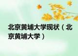 北京黄埔大学现状（北京黄埔大学）