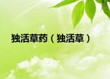 独活草药（独活草）